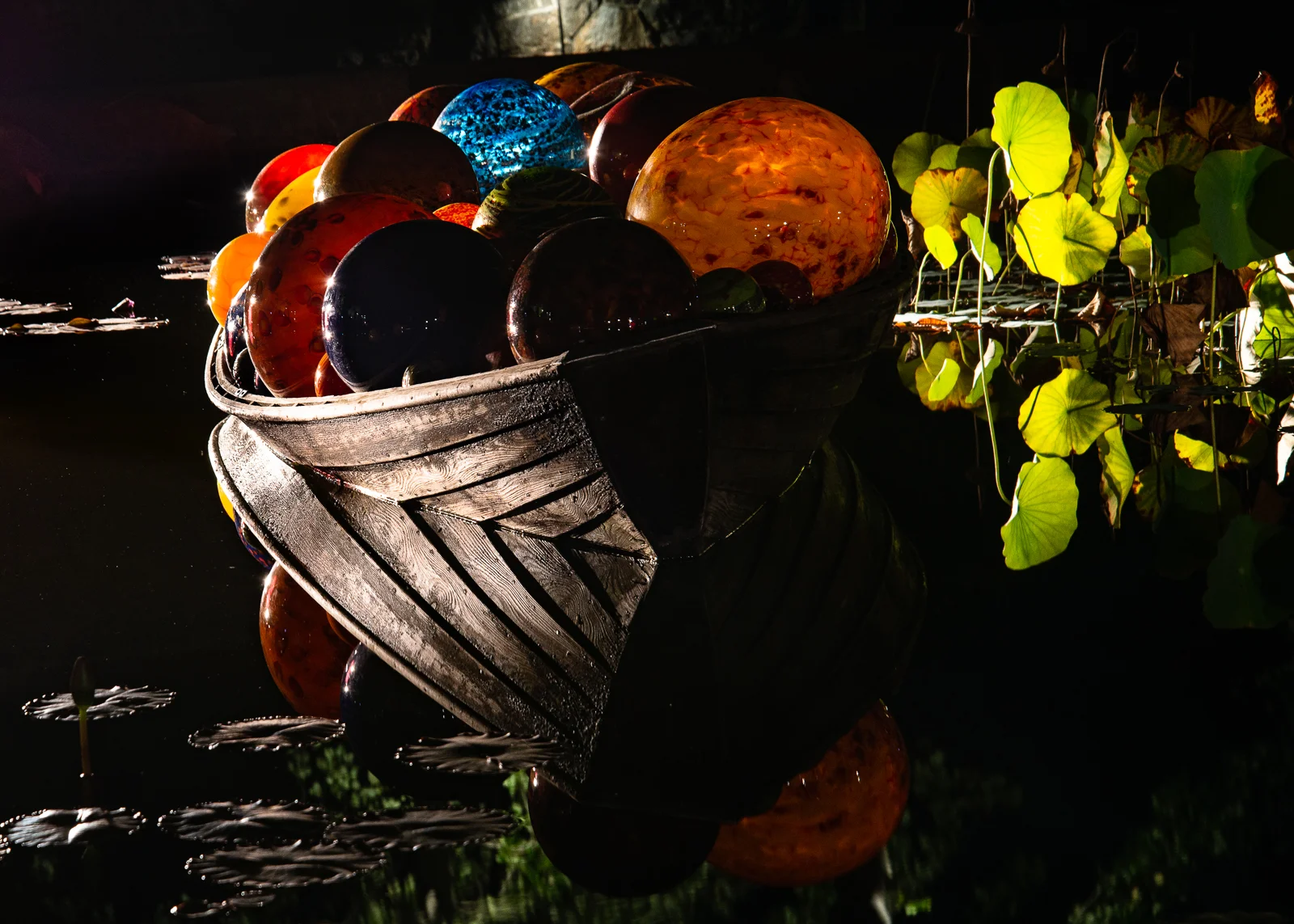 _DCP3613.jpg