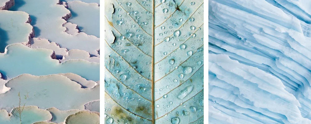inspiration nature 3.jpg