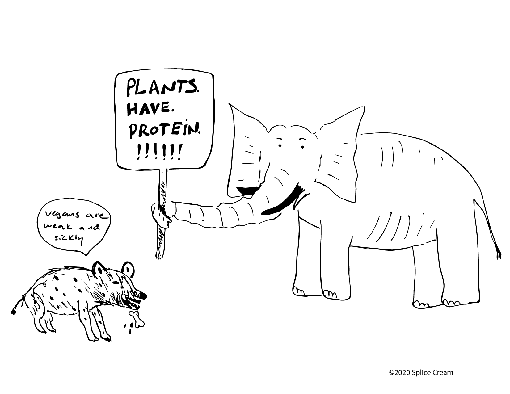 ElephantStereotypes-01.png