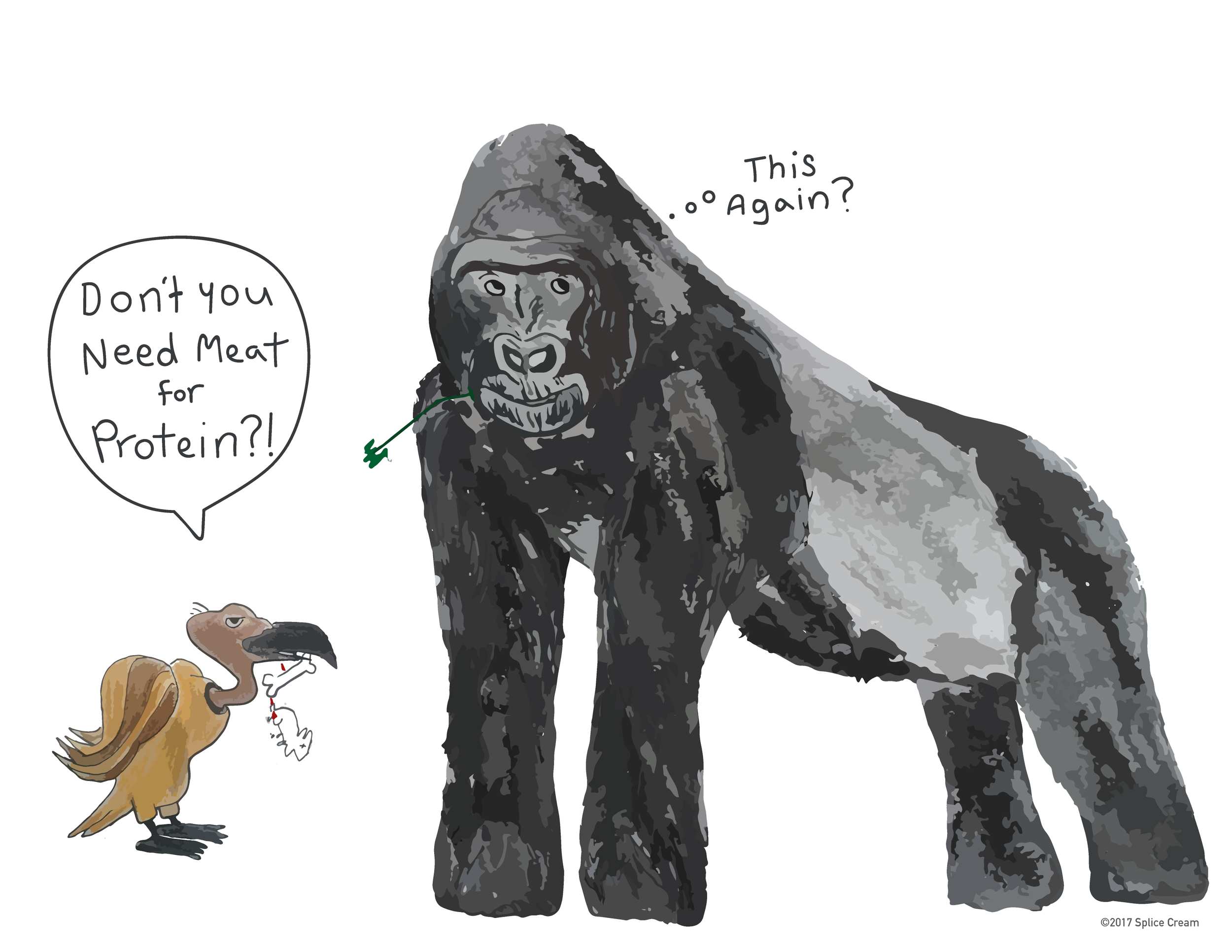 Gorilla-01.png