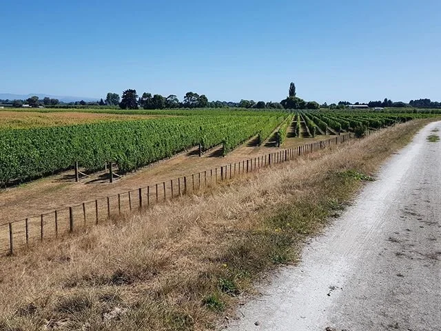 Following the Government&rsquo;s announcement to stop all non-essential travel, we have decided to play our part in fighting the spread of Covid-19 by closing until further notice. Please contact us if you have any questions. We look forward to seeing you soon. Please take care of each other.