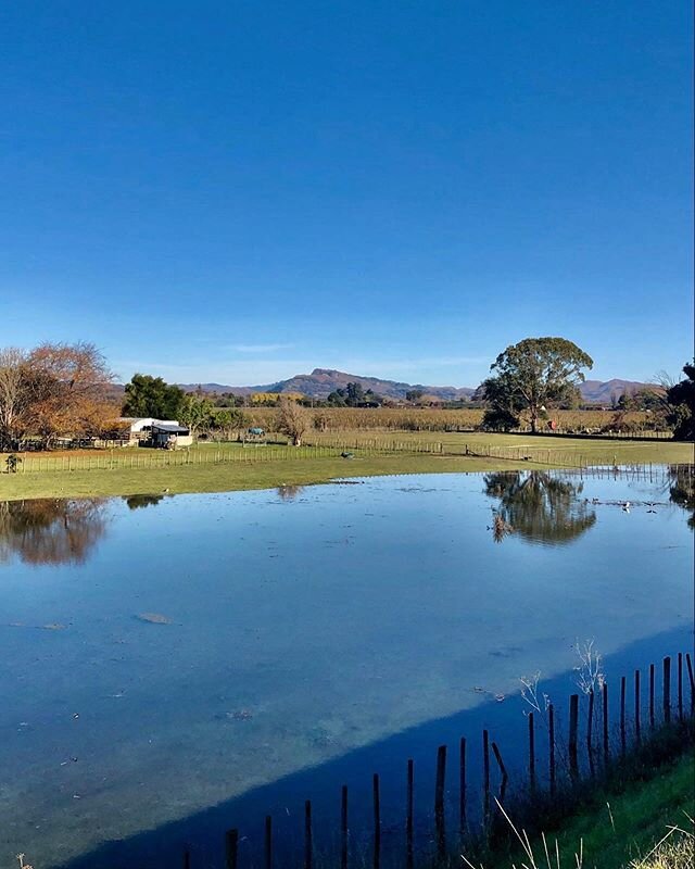 Views today on the super popular Coastal &amp; River Loop! 15km flat loop with an awesome range of scenery! Sea, vineyards, farmland, orchards &amp; more!