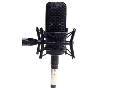 mic.png