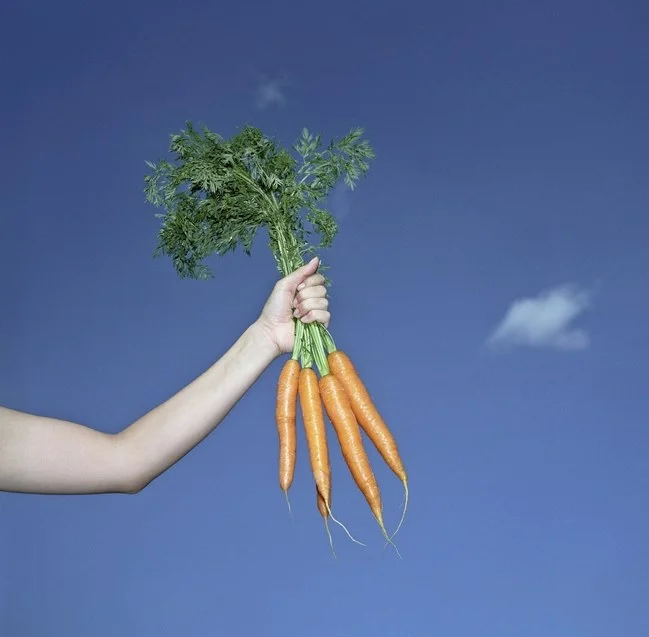 How To Meal Prep For the Week Ahead, Become the Queen of Carrots and Achieve Enlightenment