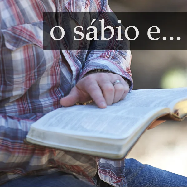 O sábio e a resolução dos conflitos relacionais (2)