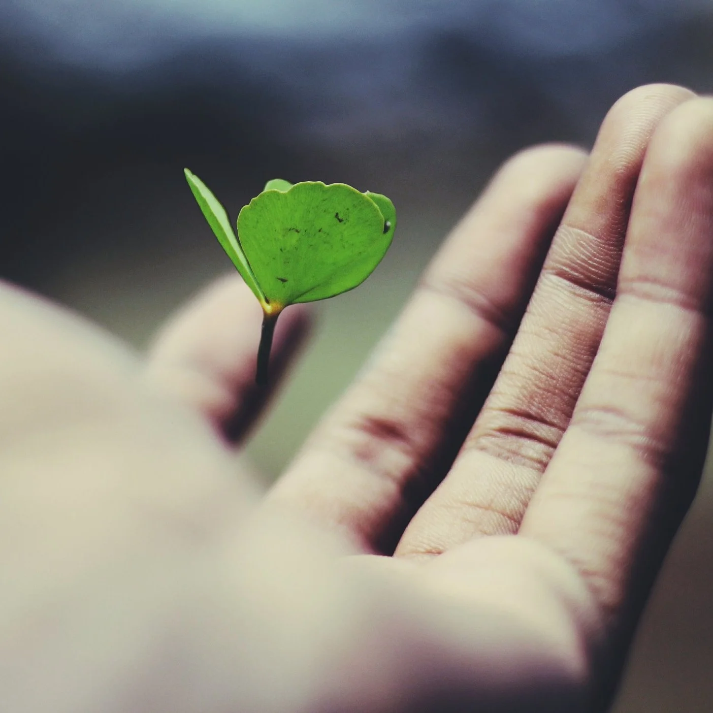 &nbsp;Garantias da ressurreição de Jesus Cristo