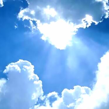 Um tesouro de incalculável valor - Mateus 13.44-46