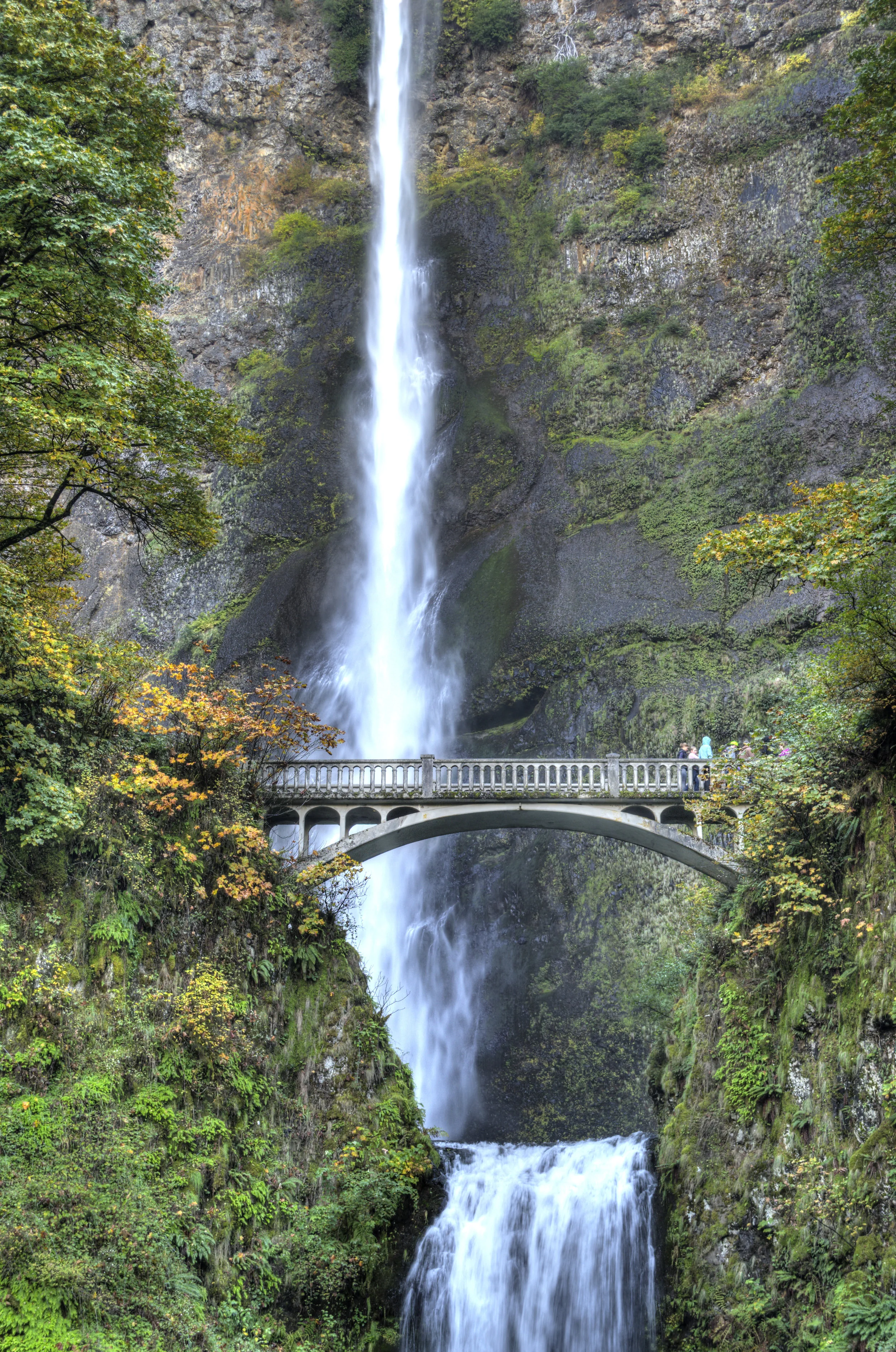 DRO_0886_7_8_tonemapped_painterly.jpg