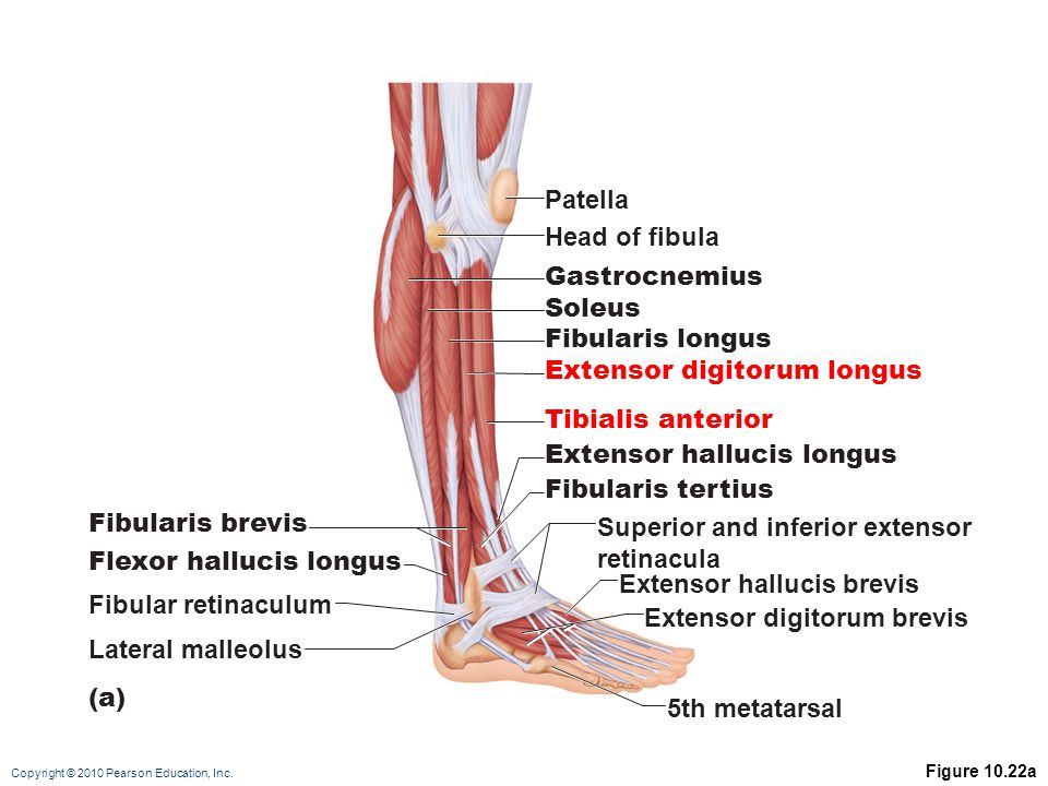 Source: http://images.slideplayer.com/14/4311227/slides/slide_15.jpg