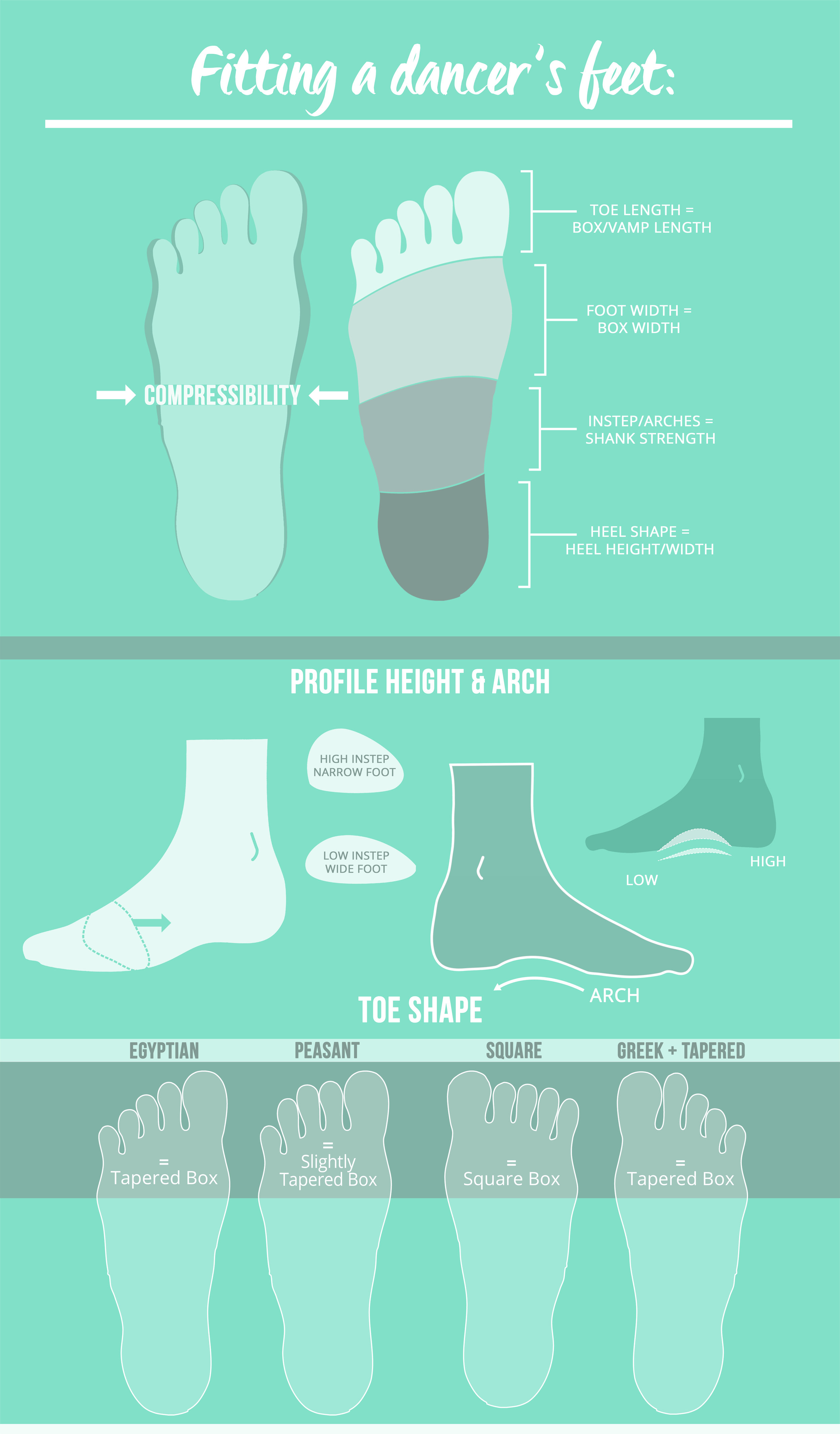 Pointe Shoes: The Perfect Fit — A 