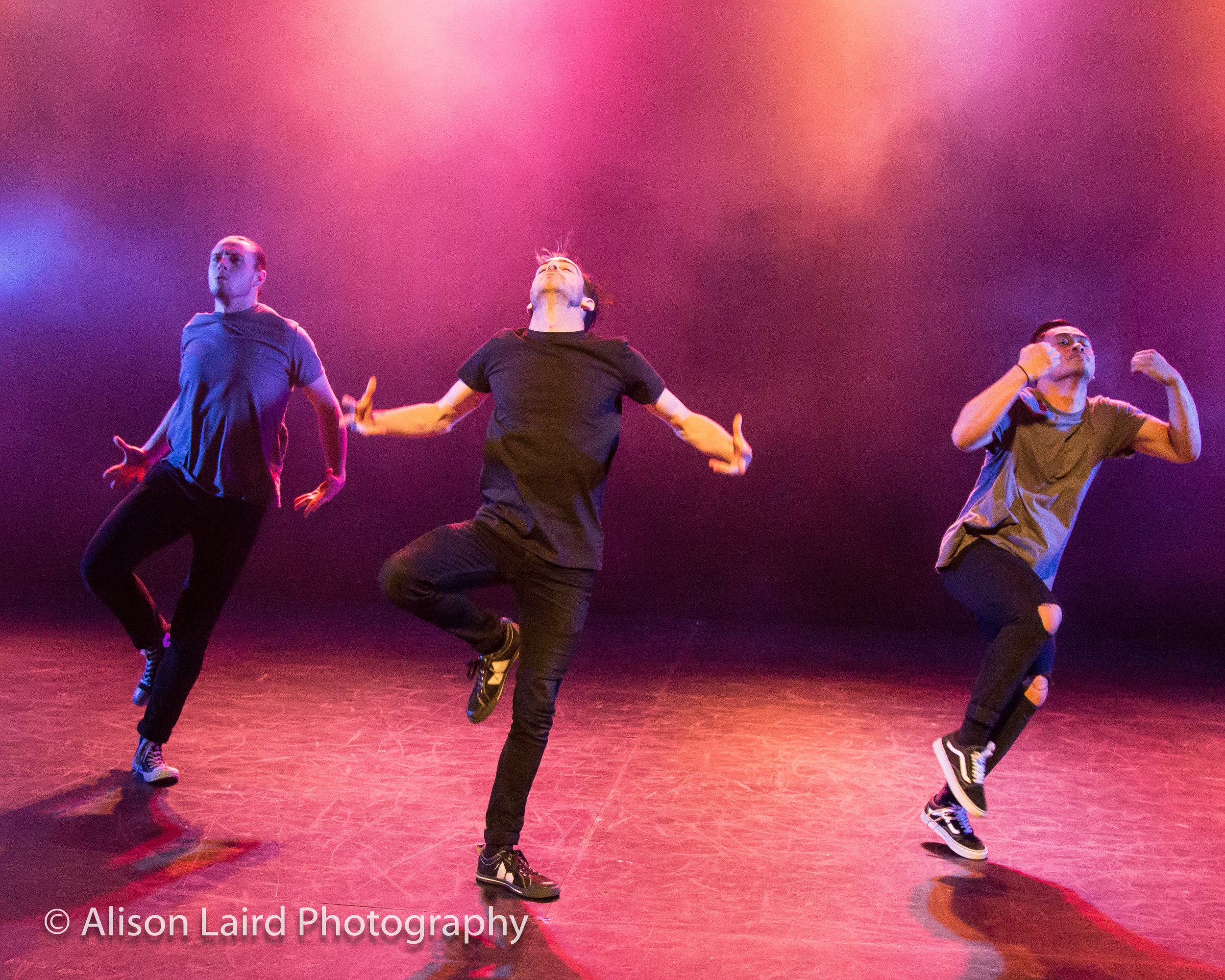 Passion May Yet Be Fatal - The Blackguard. Photography by Alison Laird