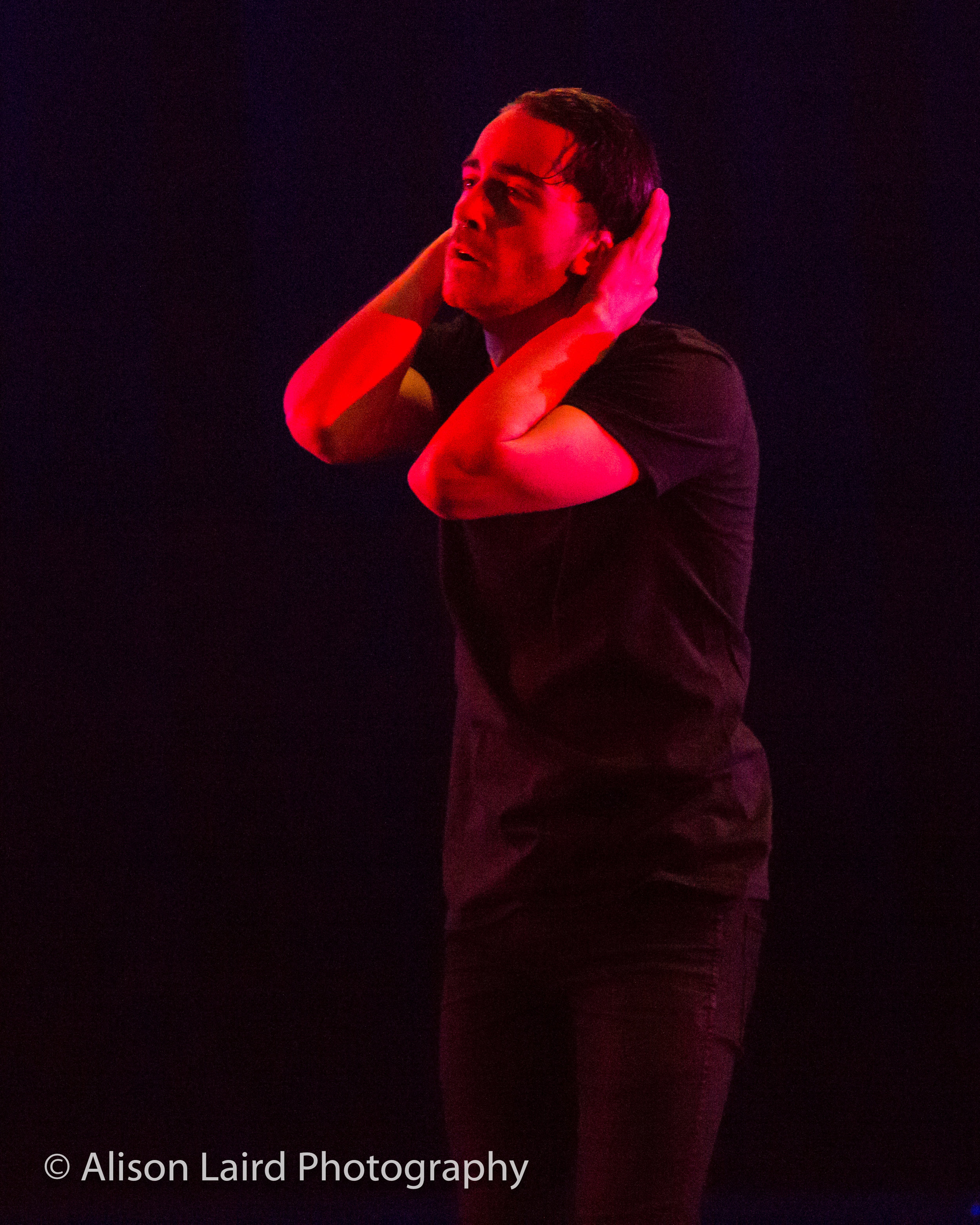 Passion May Yet Be Fatal - The Blackguard. Photograph by Alison Laird.