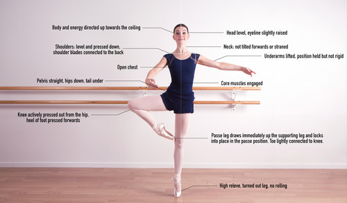 Image result for From Barre to Pirouette: Mastering the Fundamentals of Ballet infographics