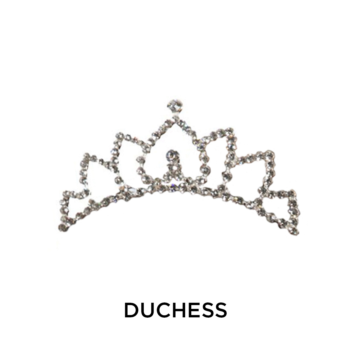 H050-Silver-Duchess-1.jpg