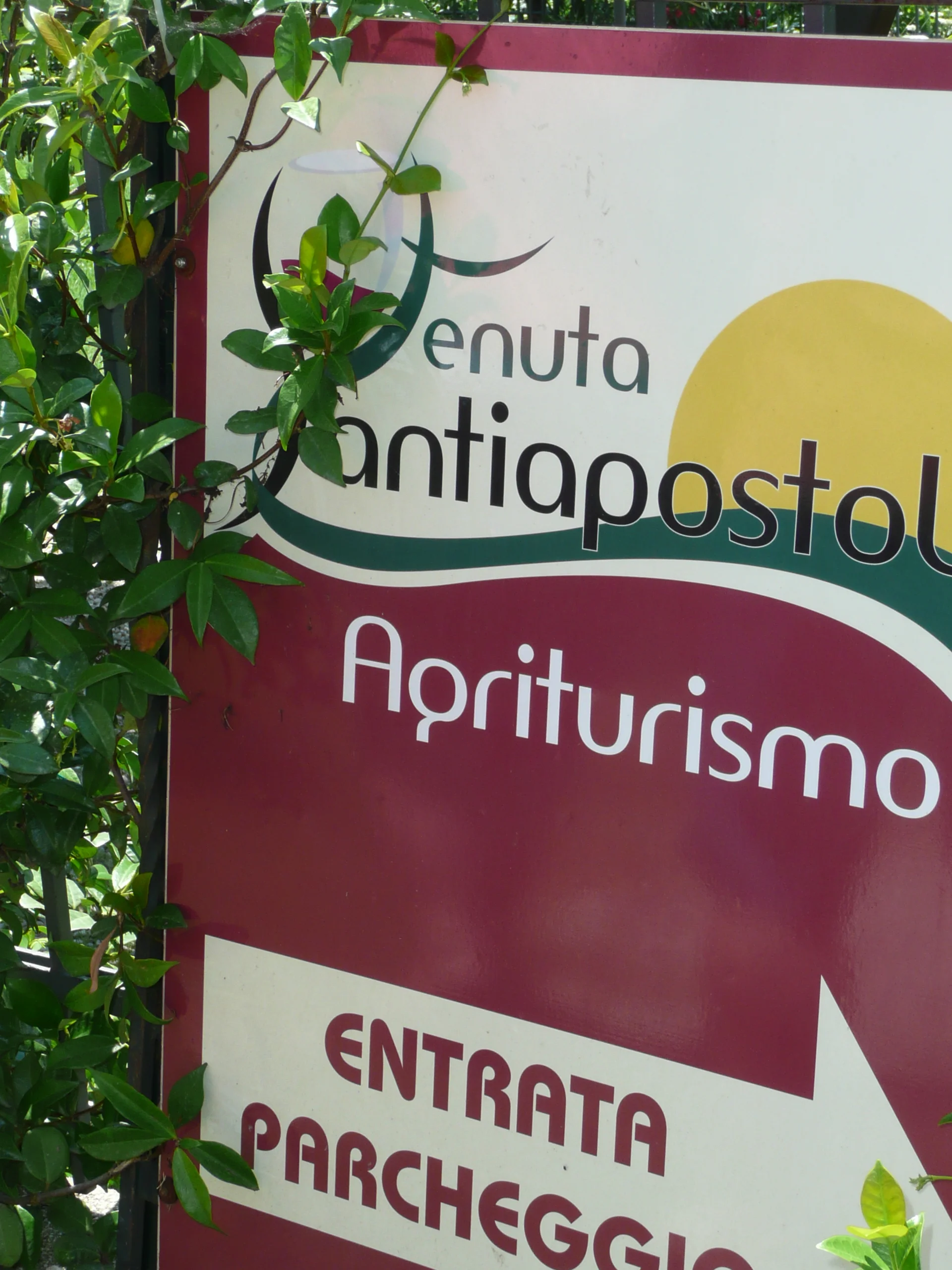 Lunch at Tenuta Apostoli Agritourismo