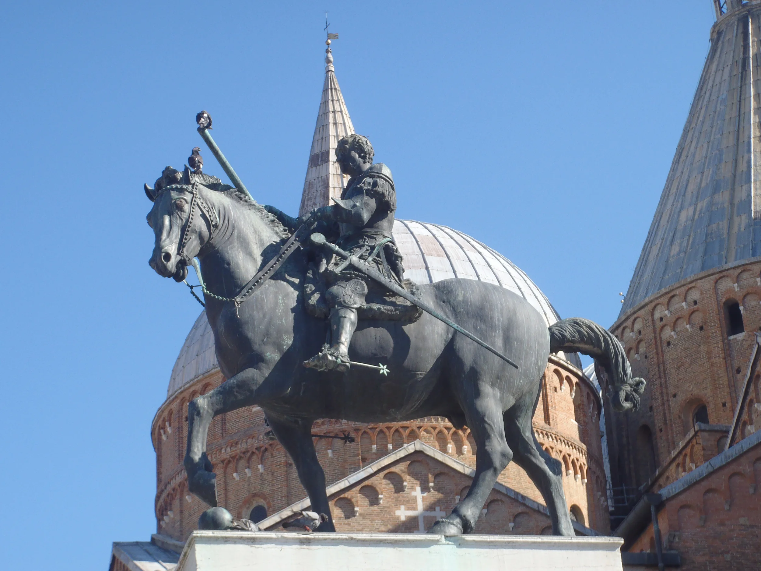 Padua