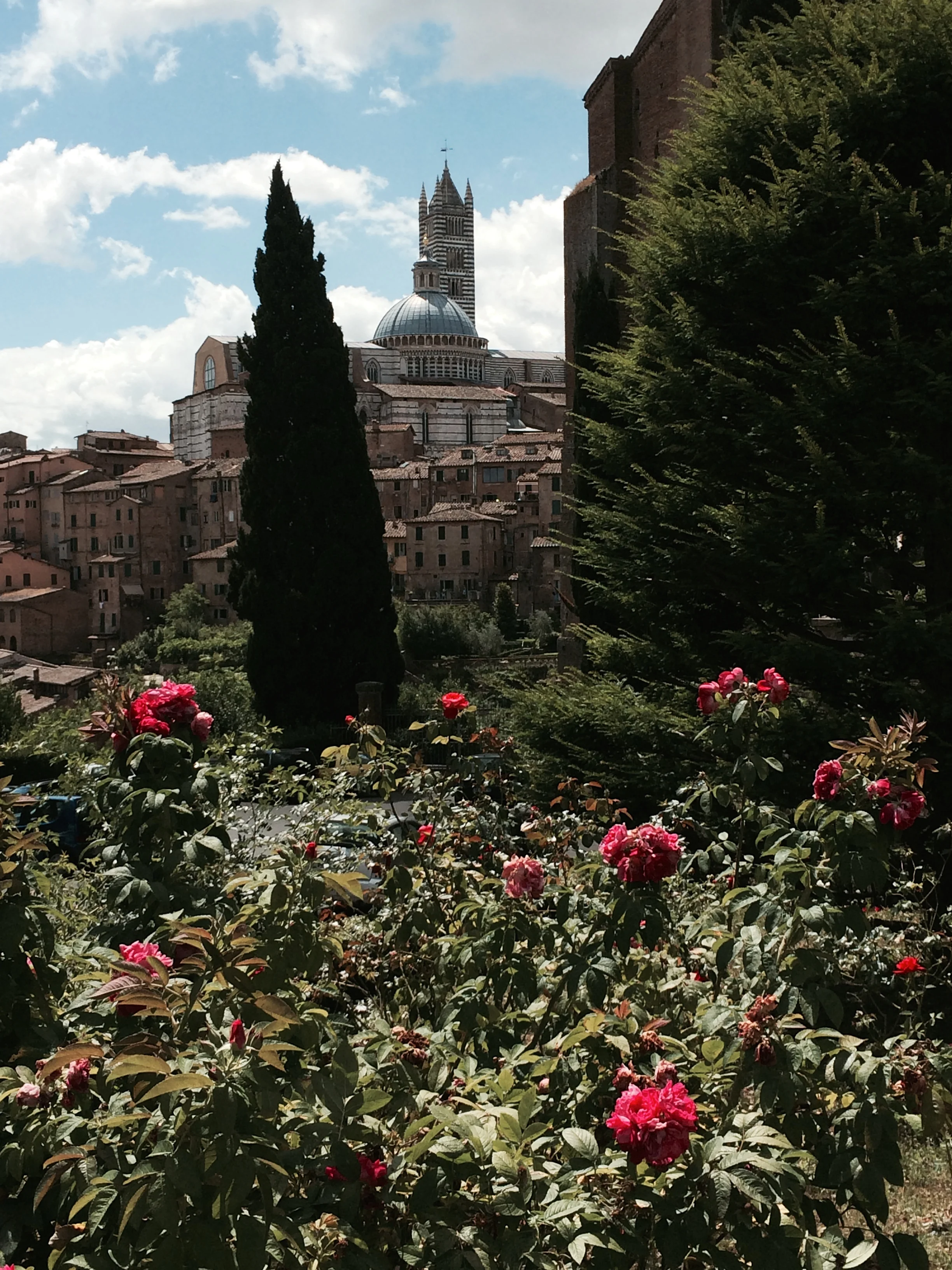 CRO 7-9-14 Italy 2014 - 012.jpg