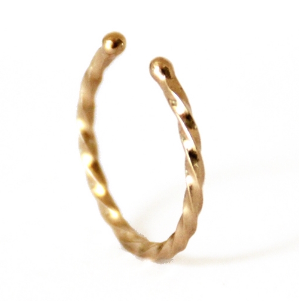 Twist Ring 1.jpg