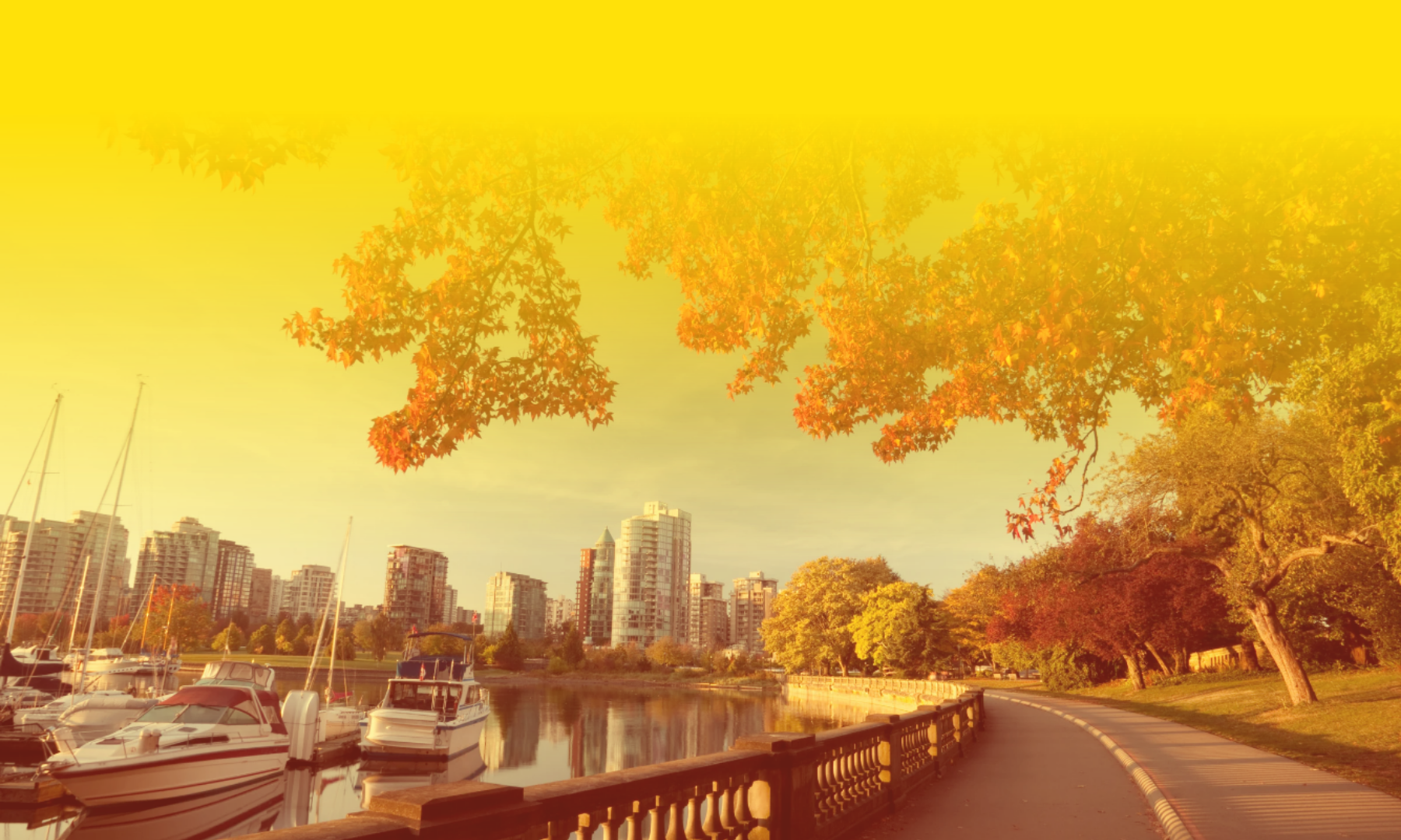 Mayoral Candidate Rebecca Bligh’s Commitment to the Centre (A Letter to Filipino BC)