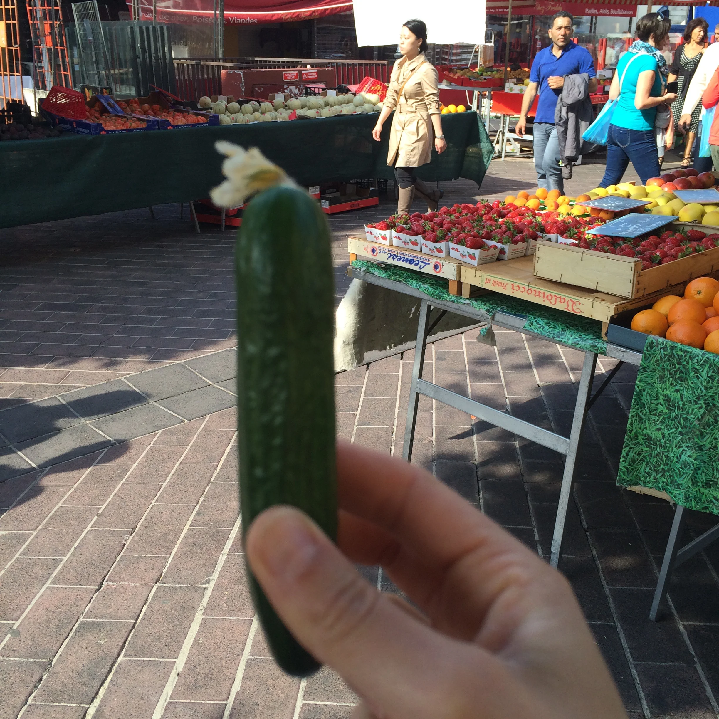 image.jpg
