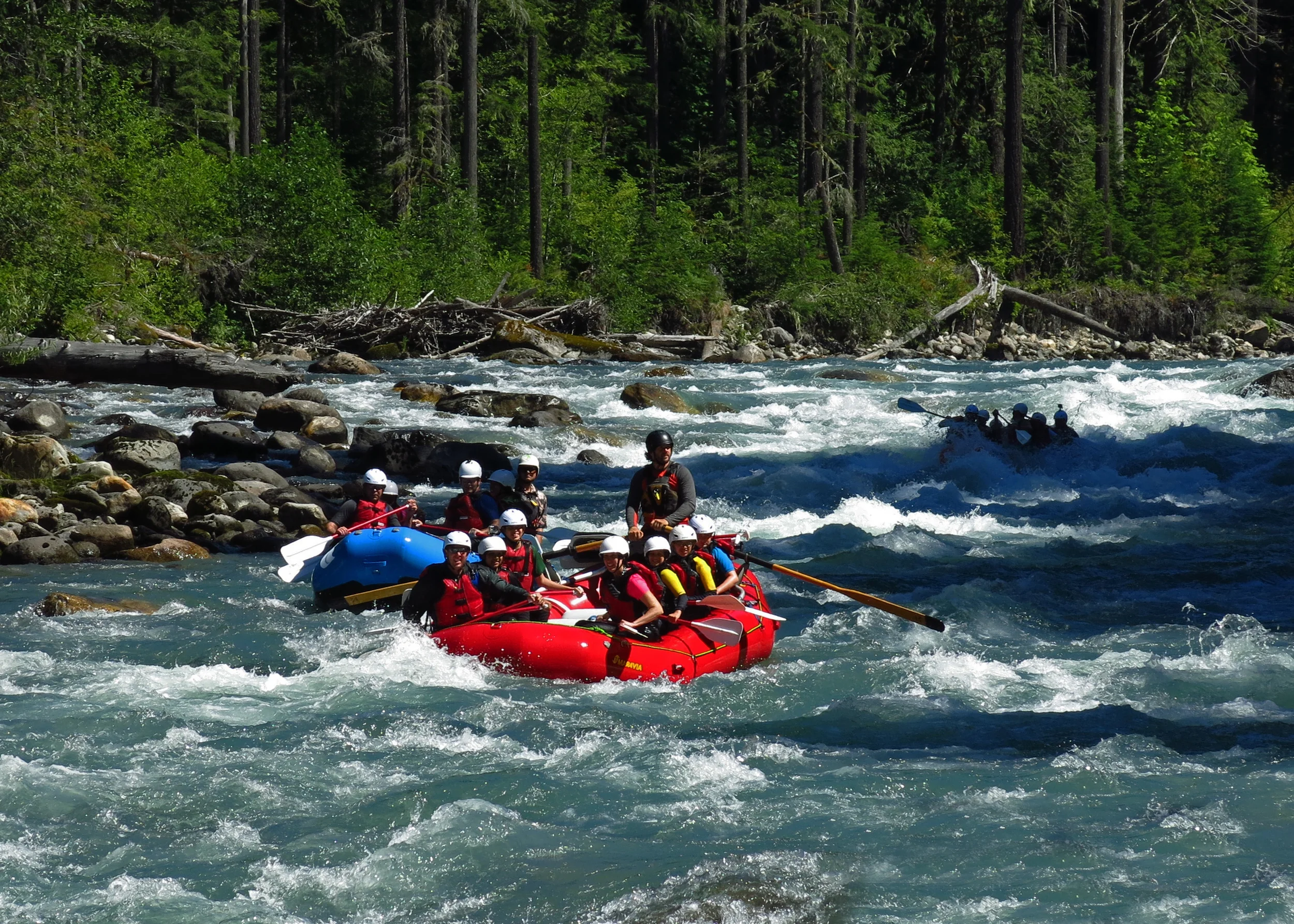 Whitewater Preparation