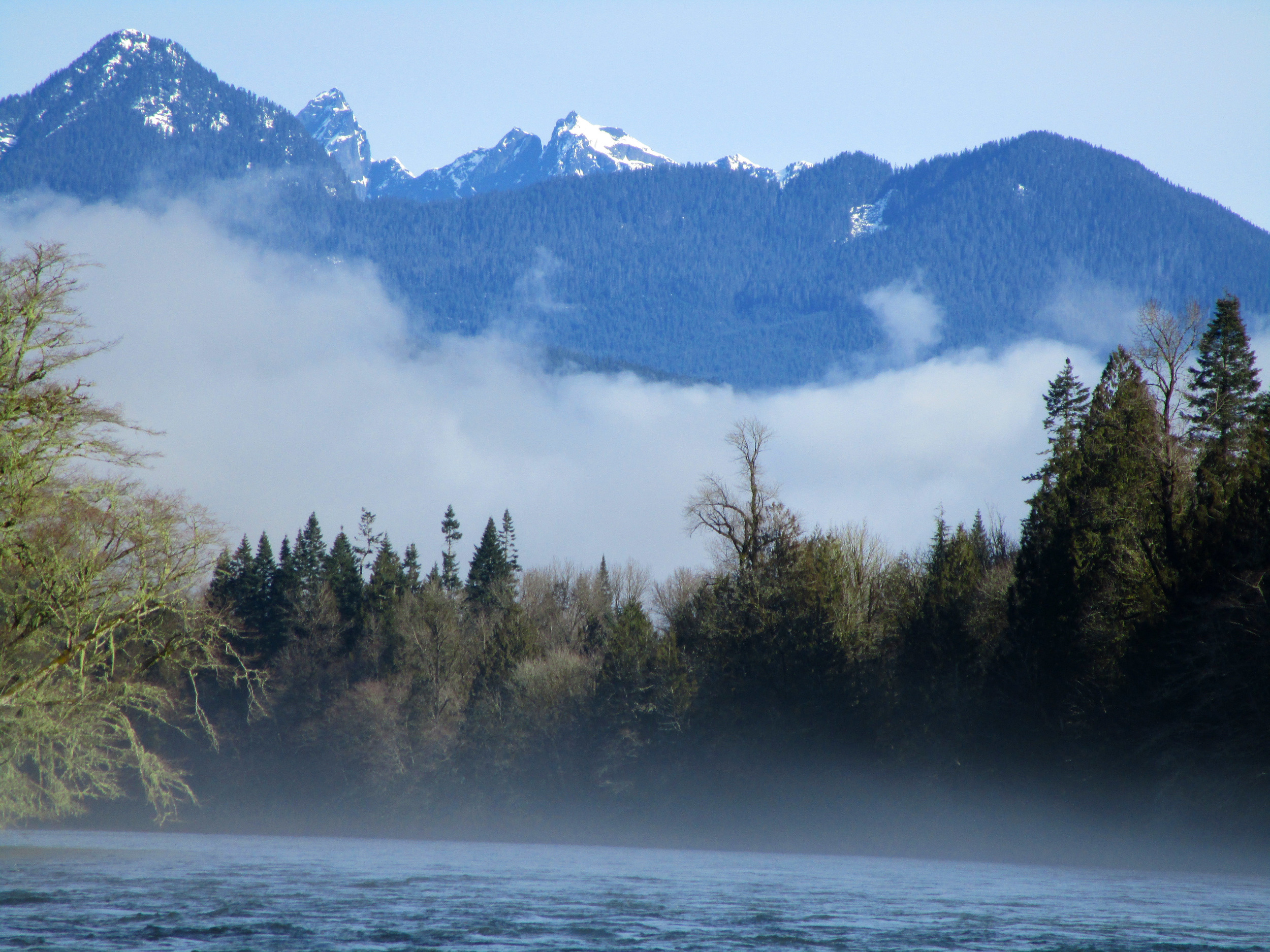 Photo of Skagit River during a Triad River Tours Eagle Watching trip courtesy of Firetalker PR, Seattle