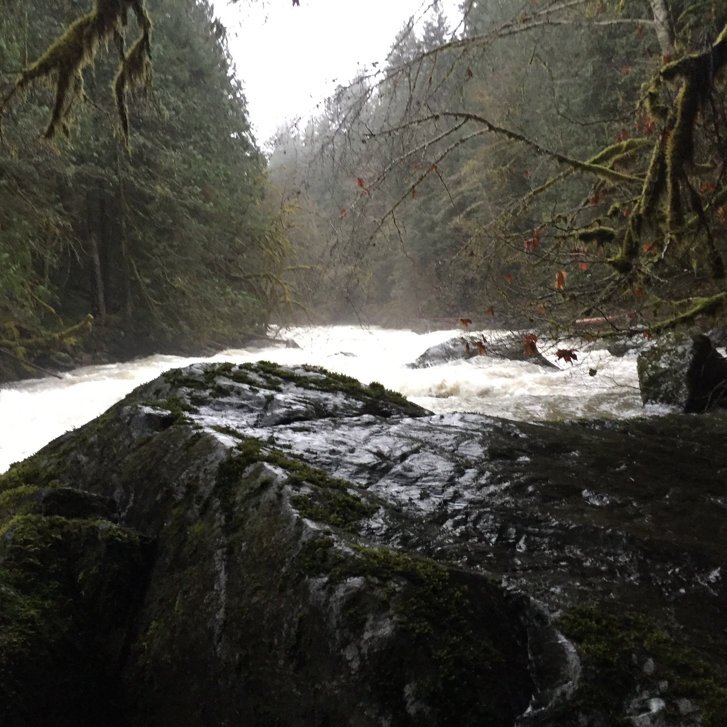 Fall Training and Protocol Testing