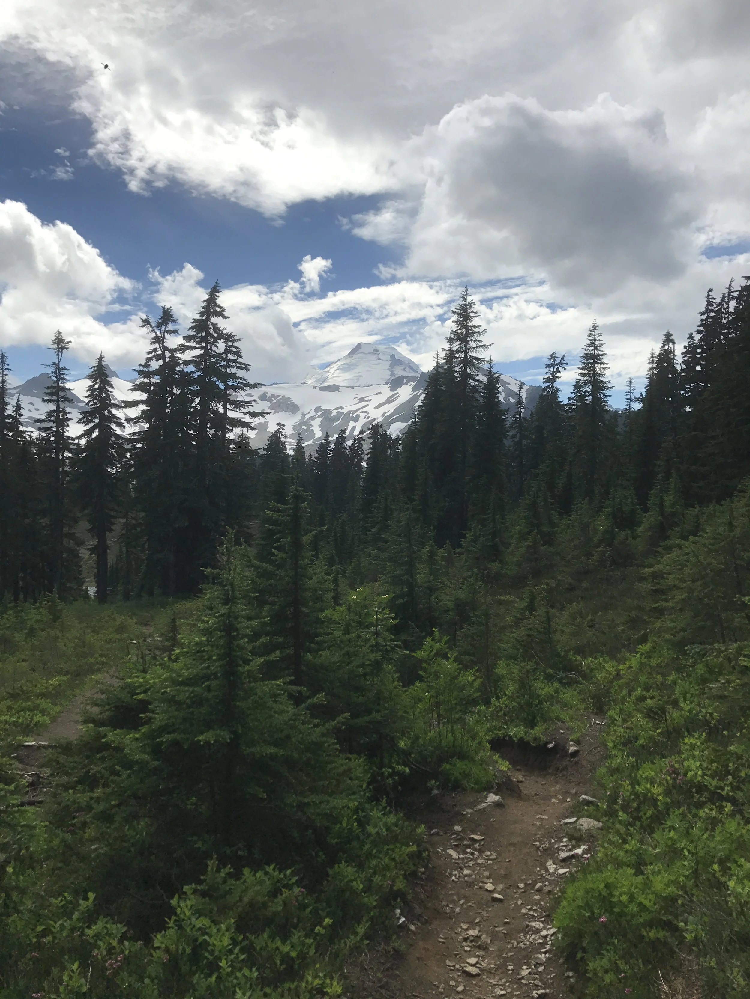 What is the Trails Stewardship Act, and Why Does it Matter?