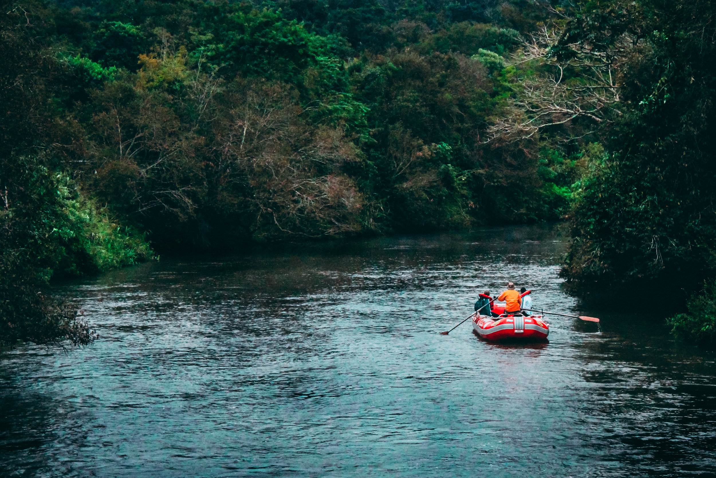 Come see the majesty of Washington’s nature and let go of the stresses of city living