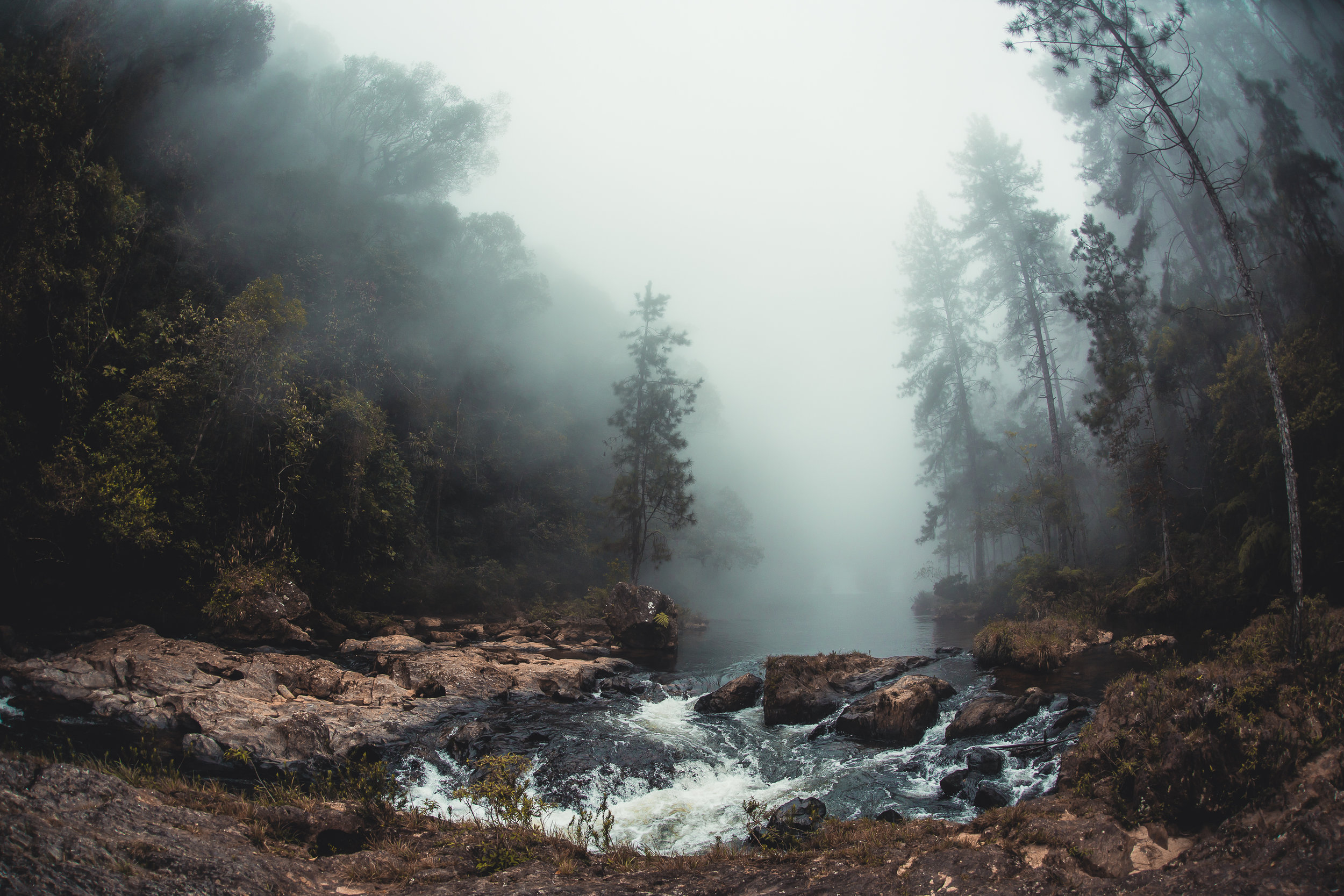 Nature has a plan that seems to escape our ability to understand it… a place where instead of being the master we are constantly designated the student.
