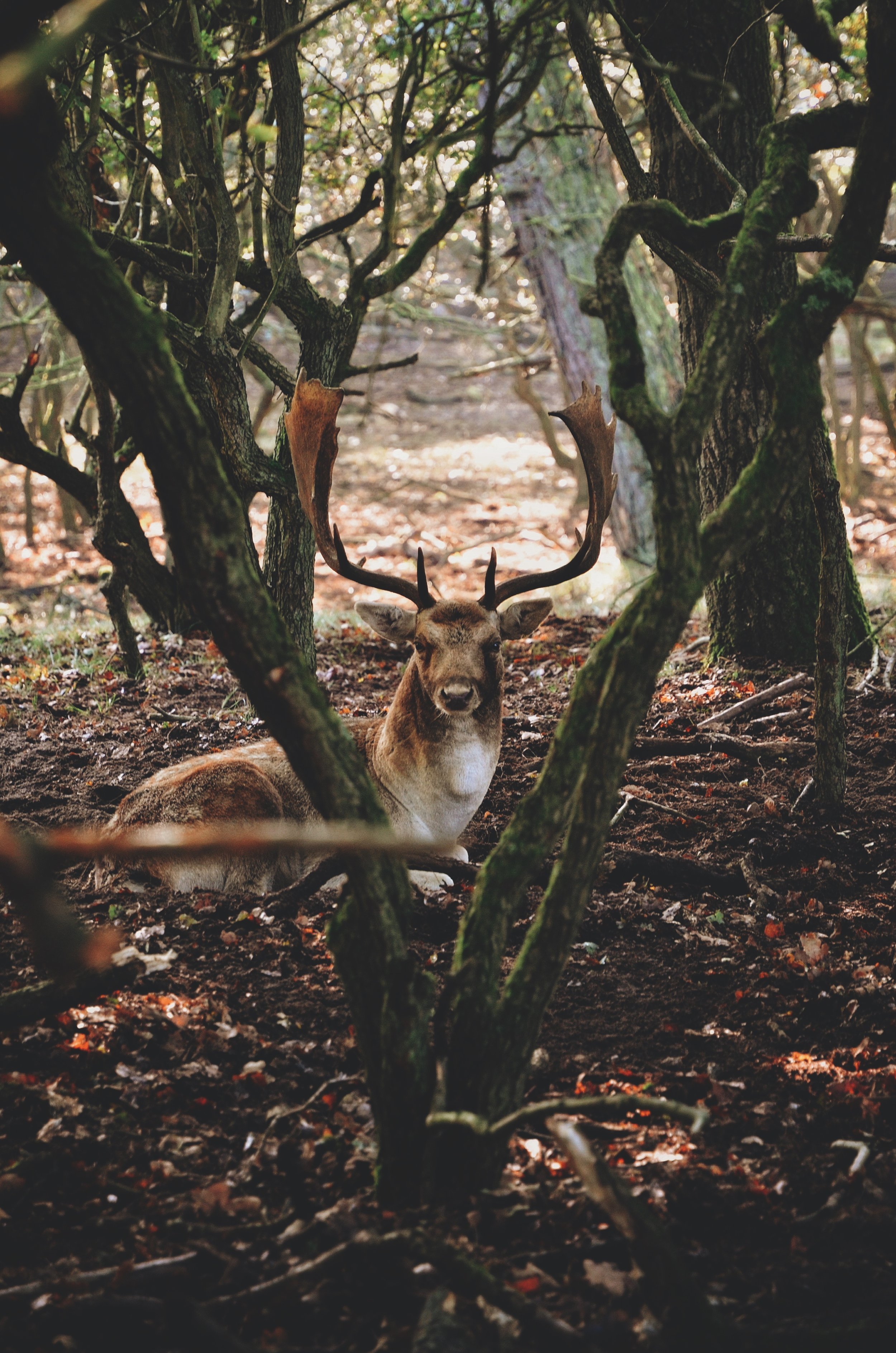 The practice of wilderness ethics seeks to find a way for visitors to lessen their impact, leaving the wilderness intact so that future travelers can experience the same beauty and wildness that they did.