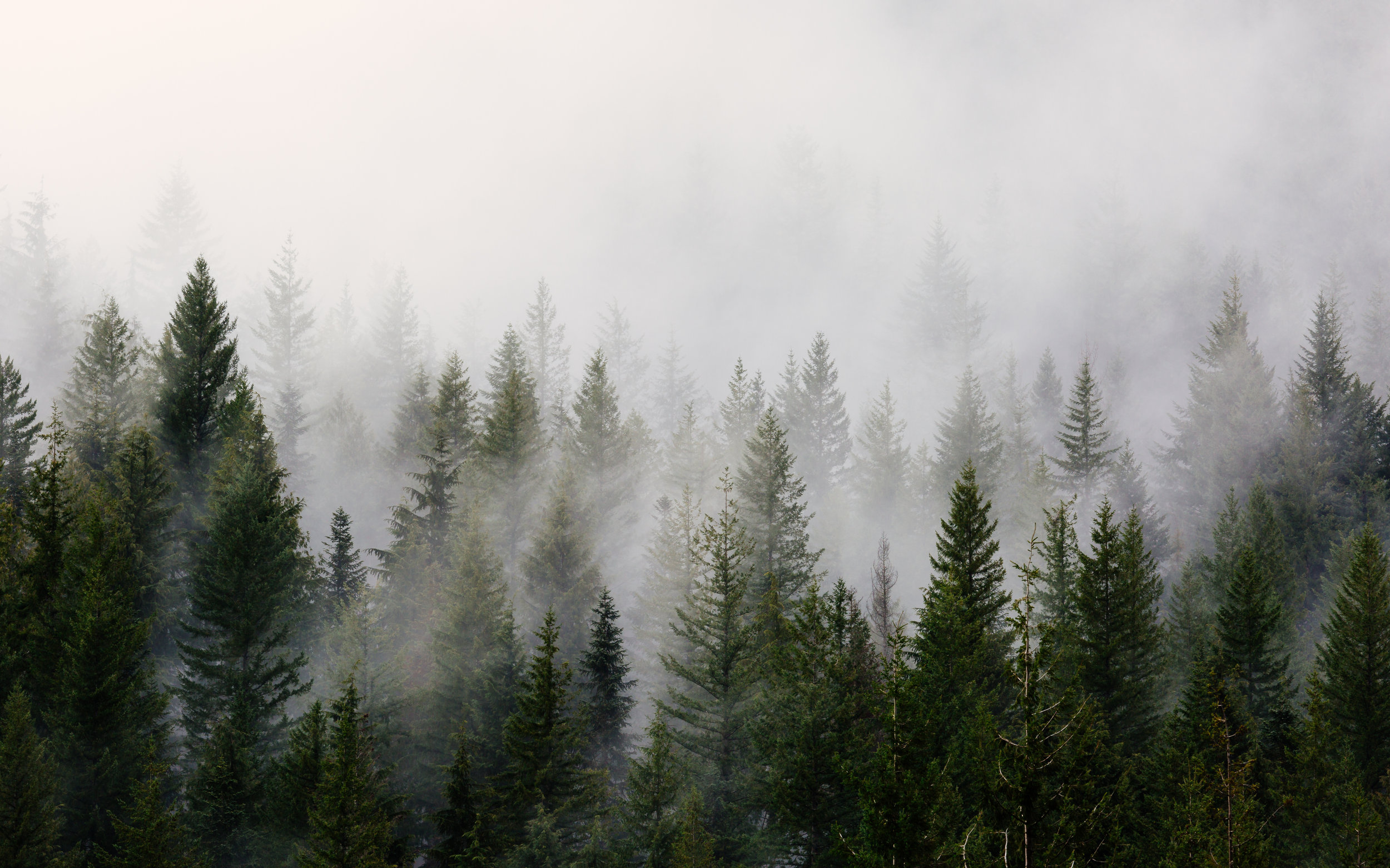 With how much rain the PNW gets, it’s a good idea to stock up on some of these rainy day essentials.