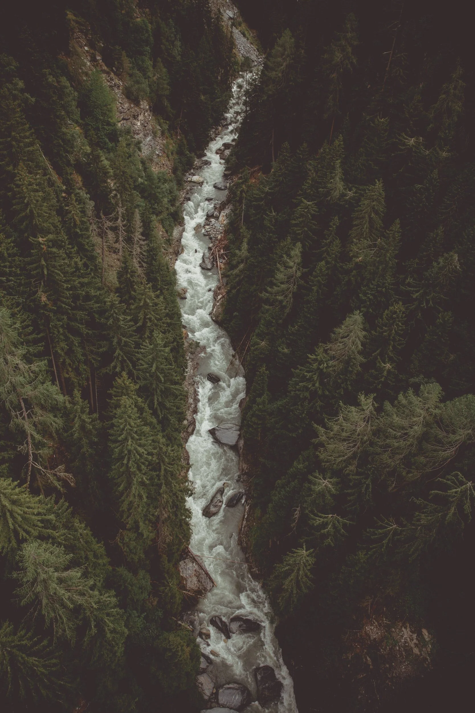 The Nooksack Dam Removal