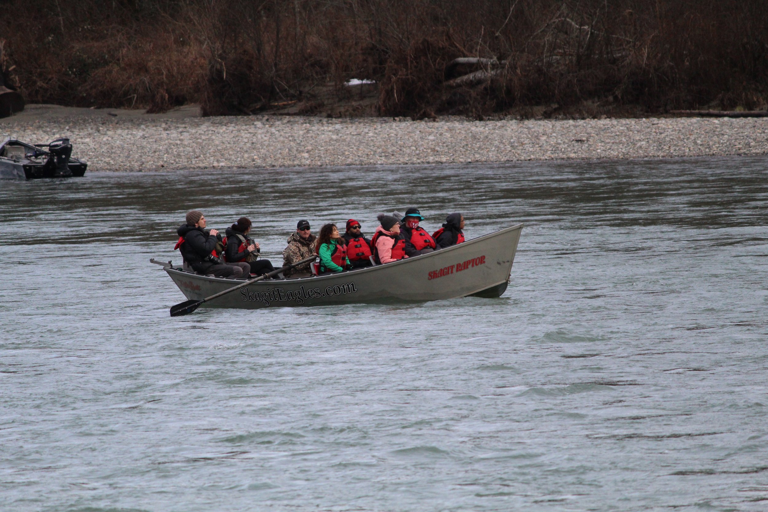 Skagit eagle viewing.JPG