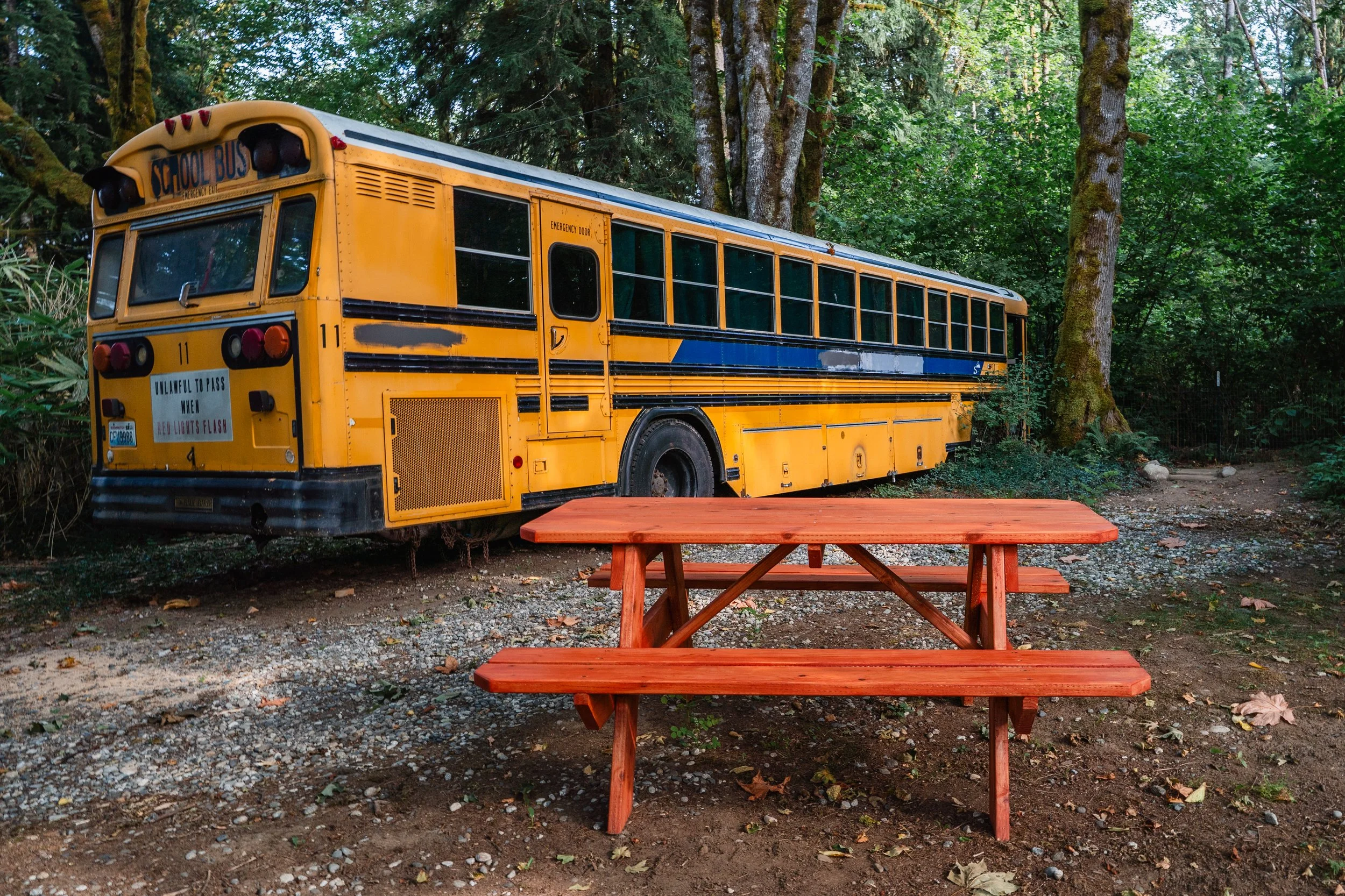 Skagit Schoolies.jpg