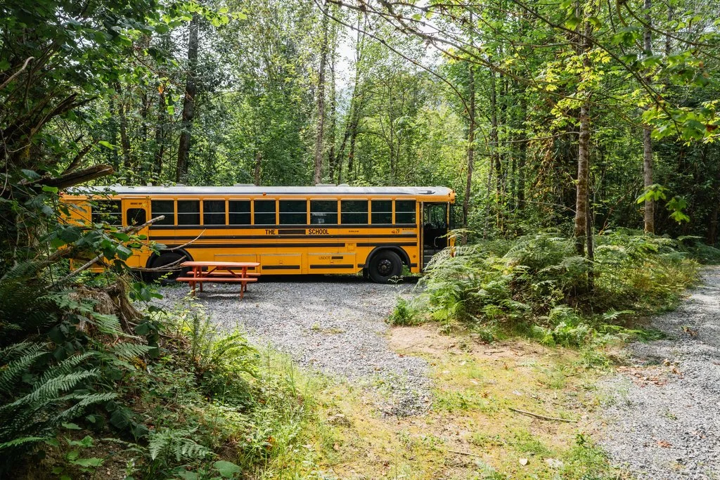 schoolie in mountains cascades.jpg