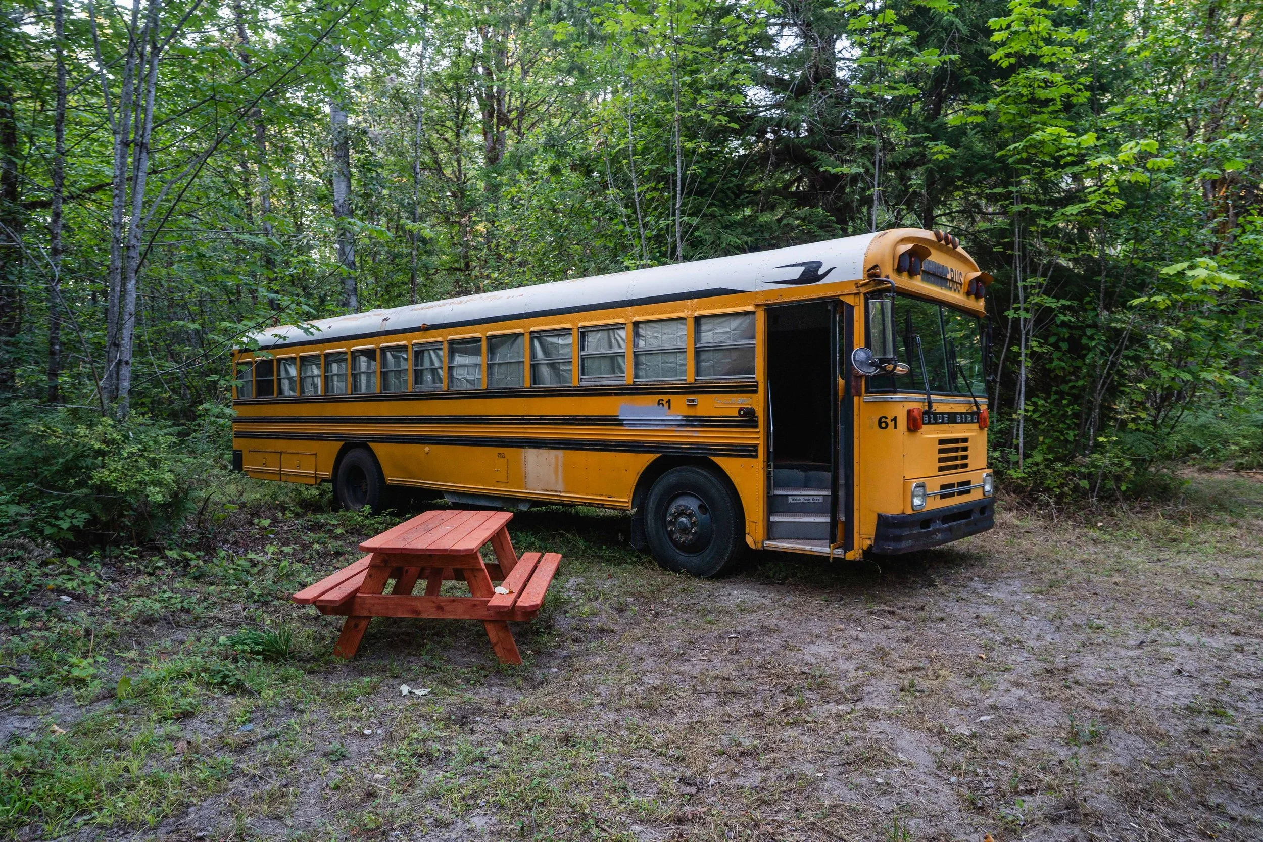 ss102502.jpg