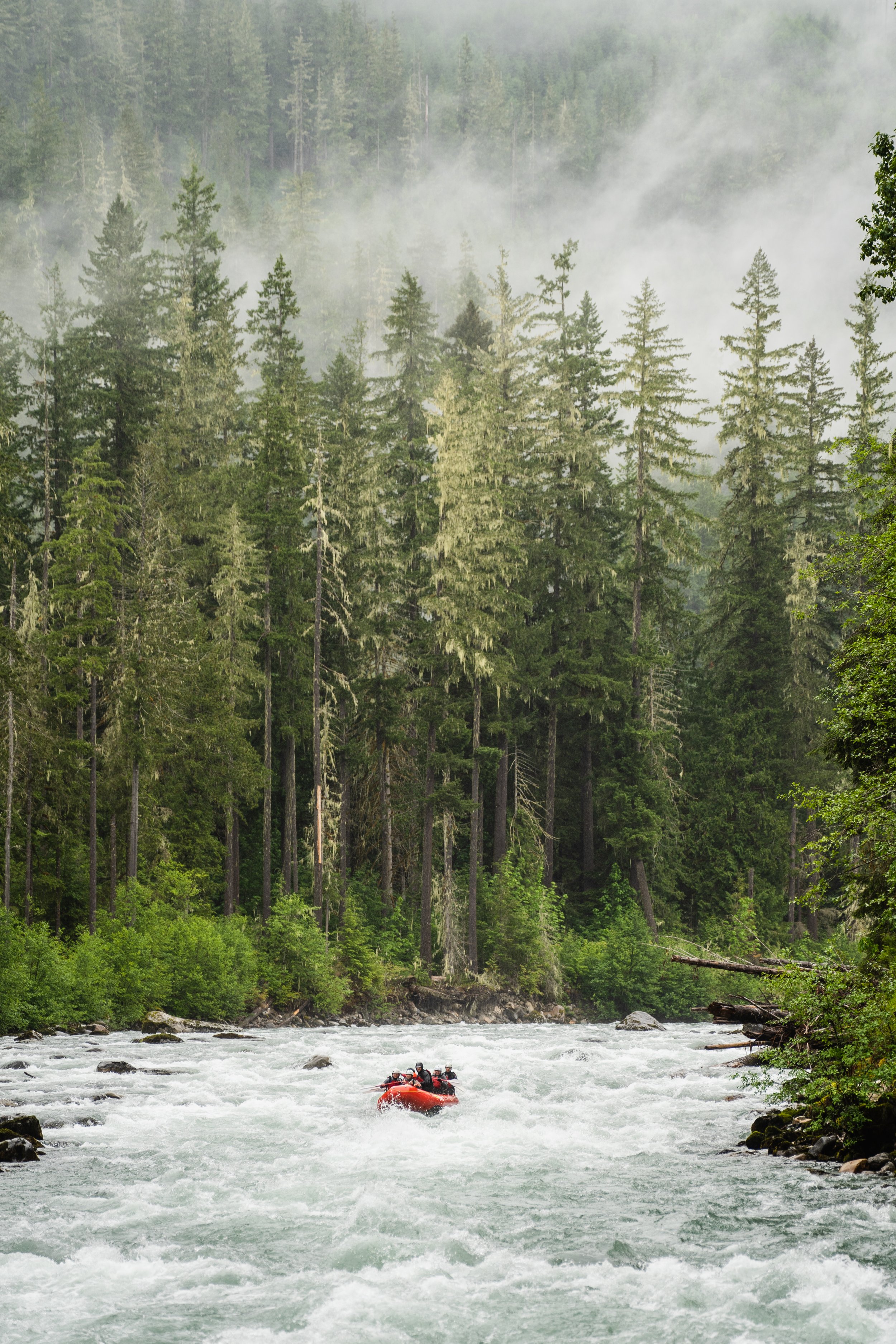 Seattle River Tours, Whitewater Rafting Company