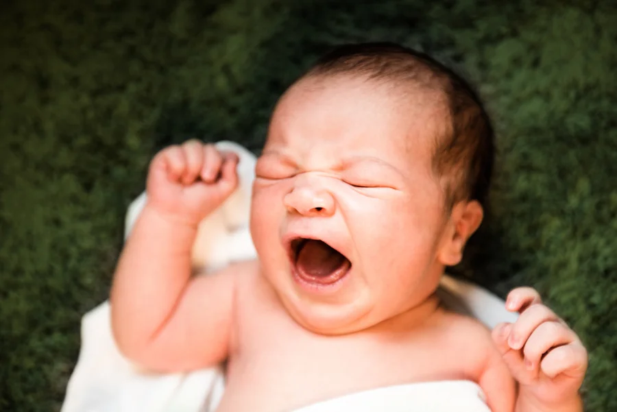 Baby Newborn Photography Photo La Vie-5.JPG