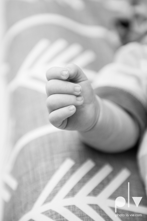 Jones Adoption newborn mini session apartment fort worth texas tx dfw indoors summer family lion Sarah Whittaker Photo La Vie-5.JPG