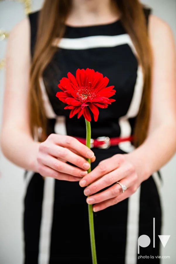 ValentinesDay Mini Session bridal shower theme styled gold black white pink red modern bold type text heart cake glitter statement stripes dot candle daisy singer bow Dainty Dahlias Sarah Whittaker Photo La Vie-24.JPG