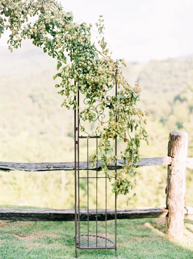 Destination_Film_Wedding_Photographer- Mountain_Weddings_0389.jpg