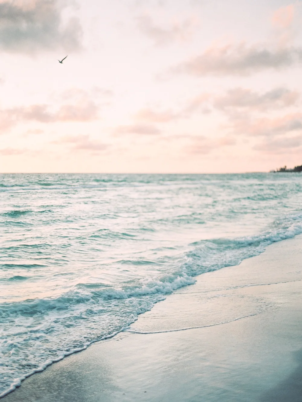 Film_Wedding_Photography_ Sarasota_Ritz_ Carlton_0890.jpg