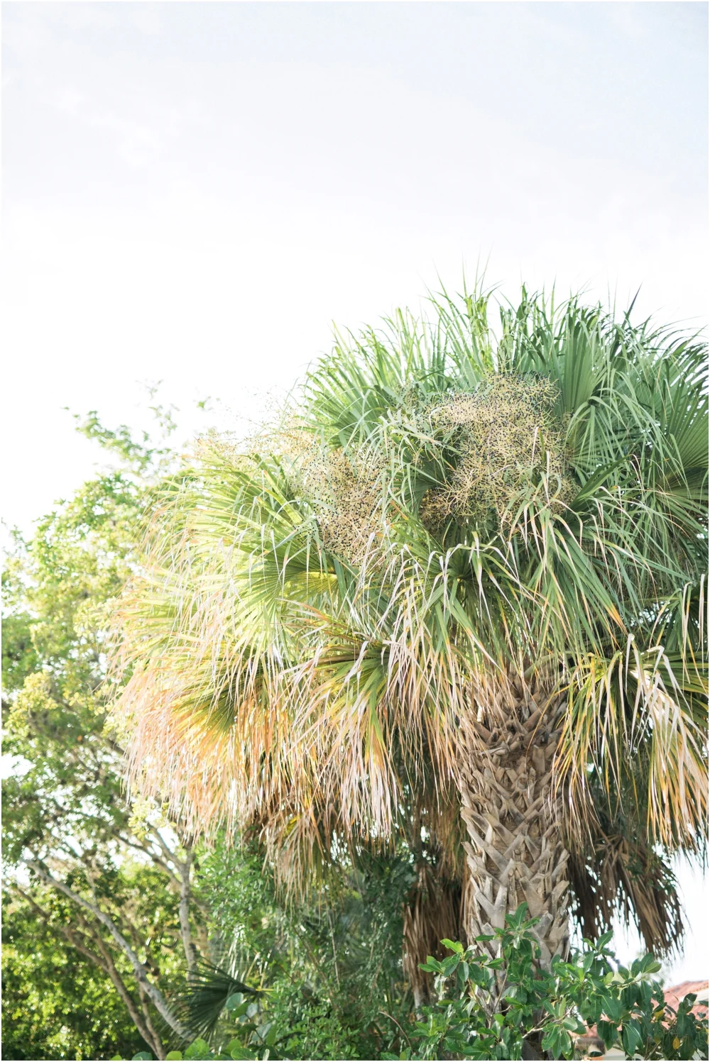 Naples_Wedding_Photographer_Florida_Engagement_Session_1206.jpg