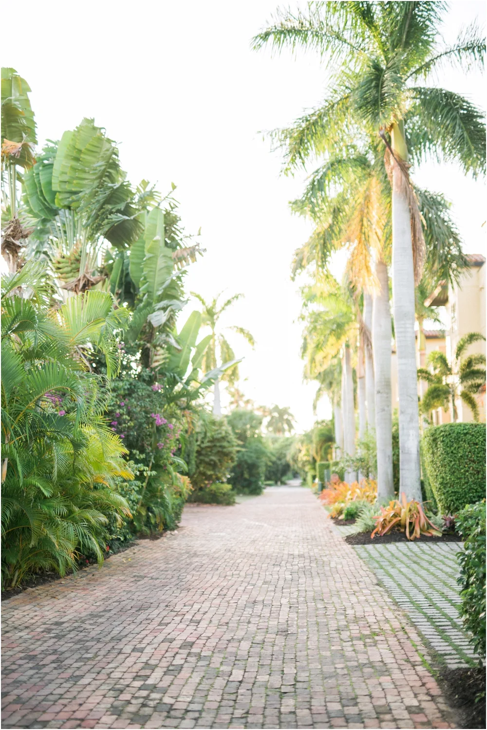 Naples_Wedding_Photographer_Florida_Engagement_Session_1209.jpg
