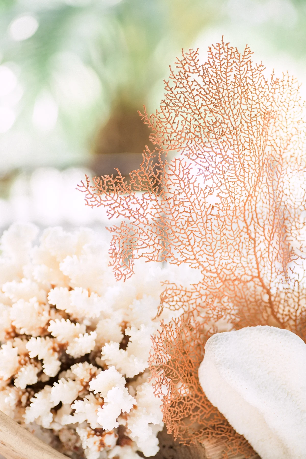 Gasparilla Inn-Boca Grande Wedding Photographer._0350.jpg