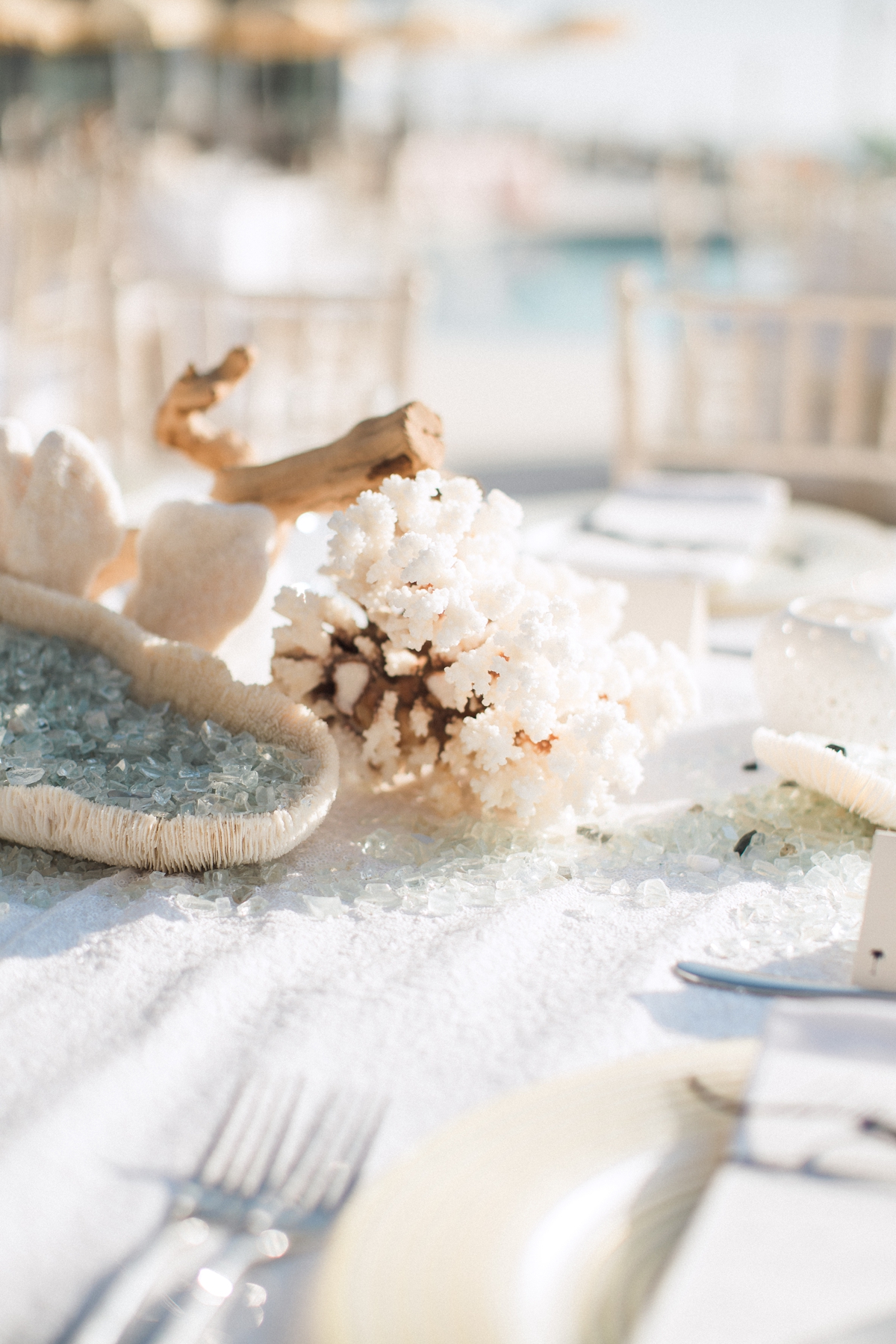 Destination Wedding Photographer- Gasparilla Inn Boca Grande_0382.jpg