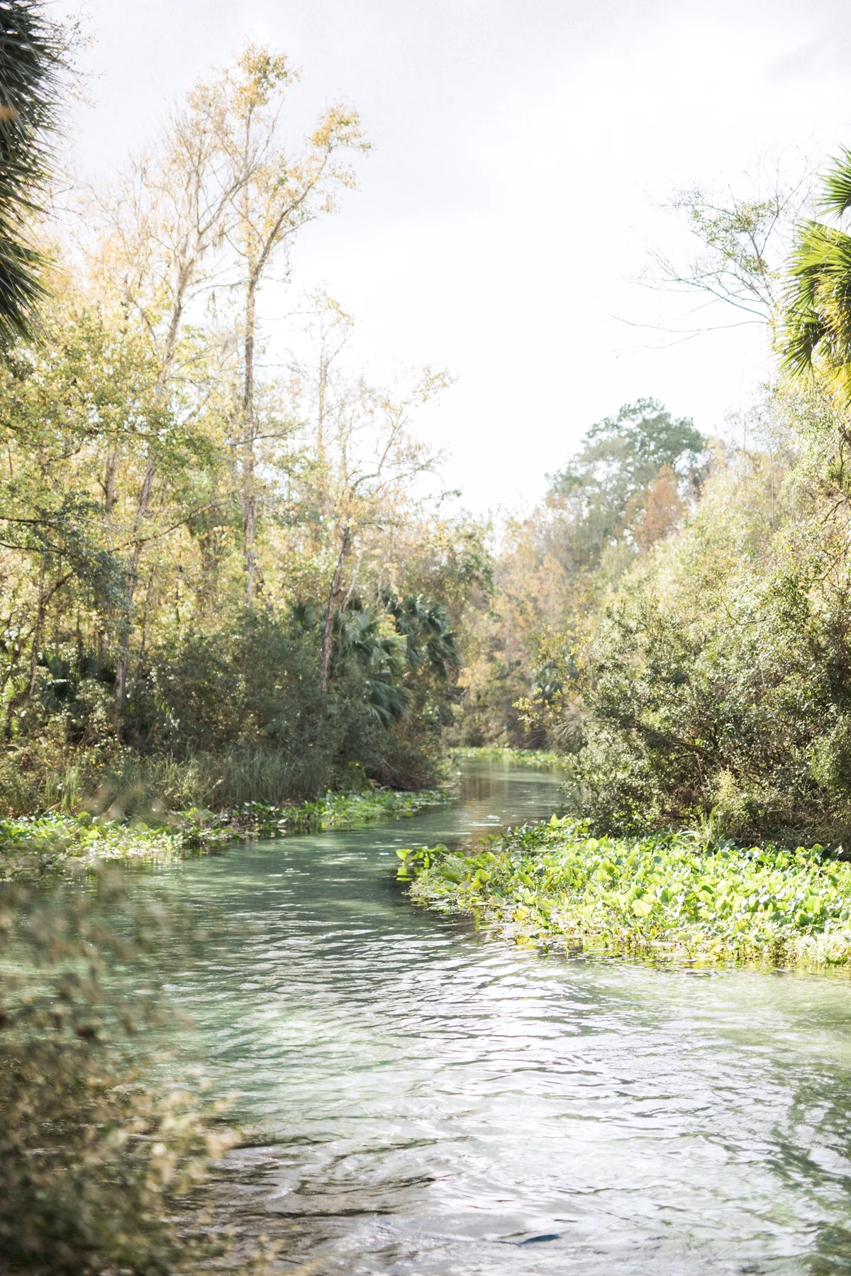 Florida Destination Wedding Photographer_0083.jpg
