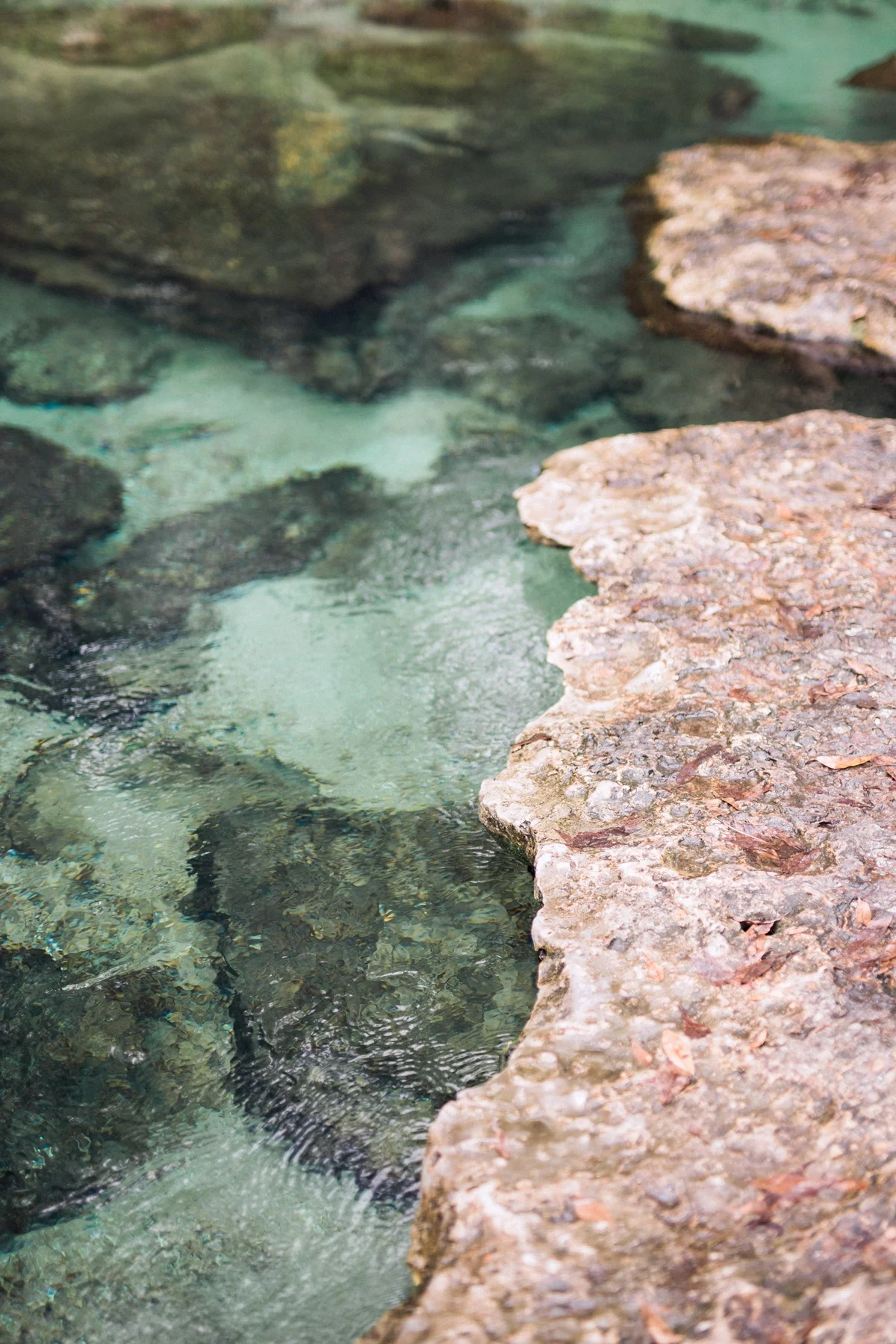 Florida Destination Wedding Photographer_0091.jpg