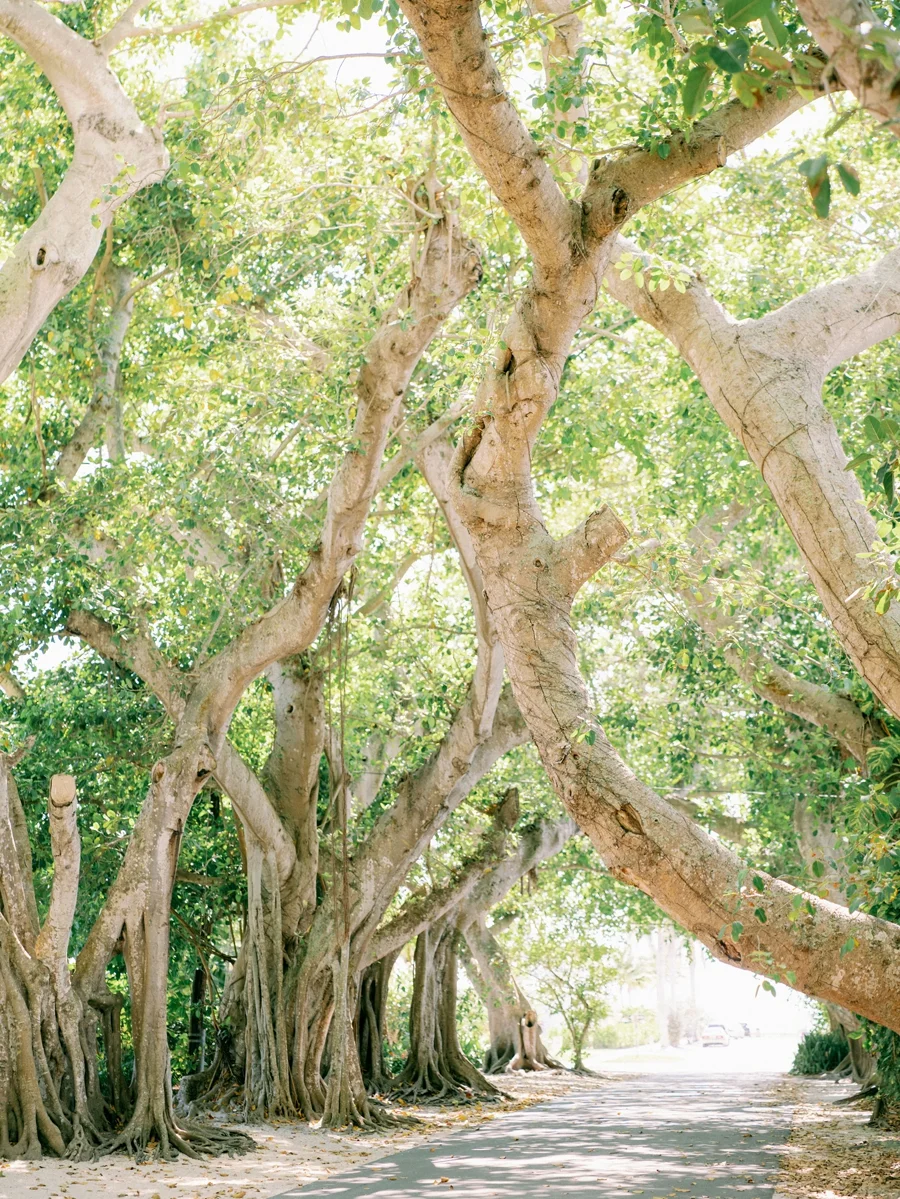 Gasparilla-Inn-Boca-Grande-Destination-Wedding-Hunter-Ryan-Photo_0048.jpg
